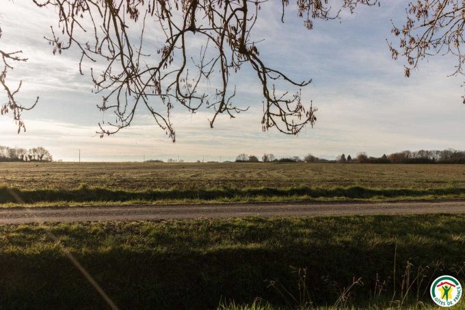 31G100642-8e8df20129a24bc2b9baa2725ffcf320