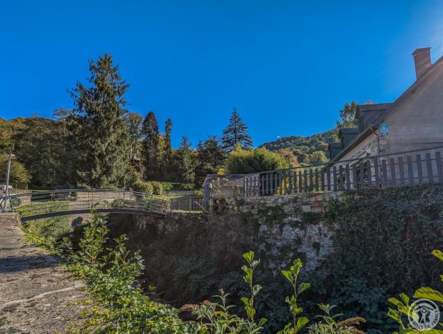 31G100655-c8a0efa0f9f842f7ba35b49a34028bad