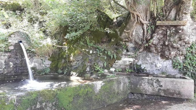 31G100656-4f2250d051d346f69fe2b0703f1b1809