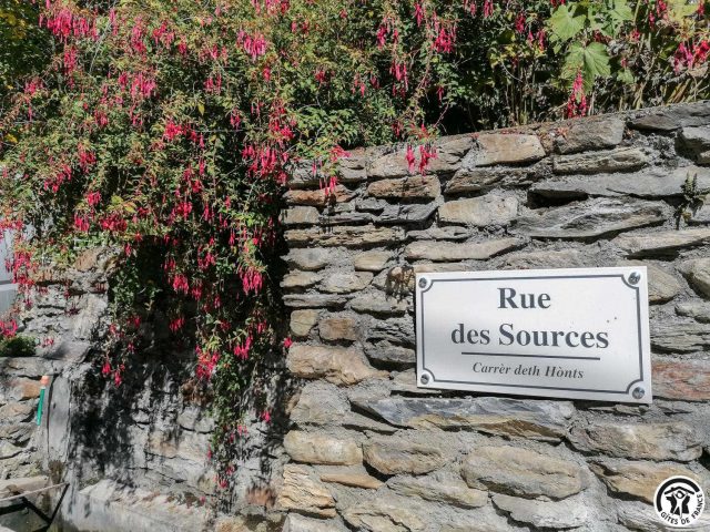 31G100666-9359073b208f48ab90f617a390b8f365