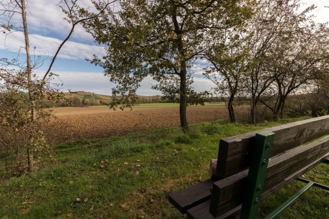 31G100766-ee1e69aeed284a75b0e6566410395231