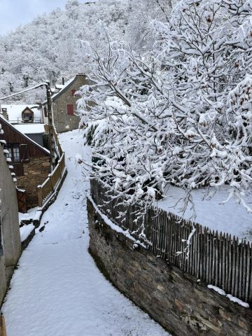 31G100772-e963229d42e14612acd0dcdd1a0863b6