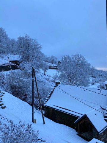 31G100772-f042292d75e74eac8828557ea481d315