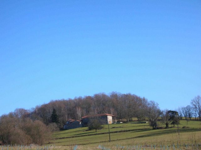 31G100773-0f573eec21844a039aee33e7eb35cef8