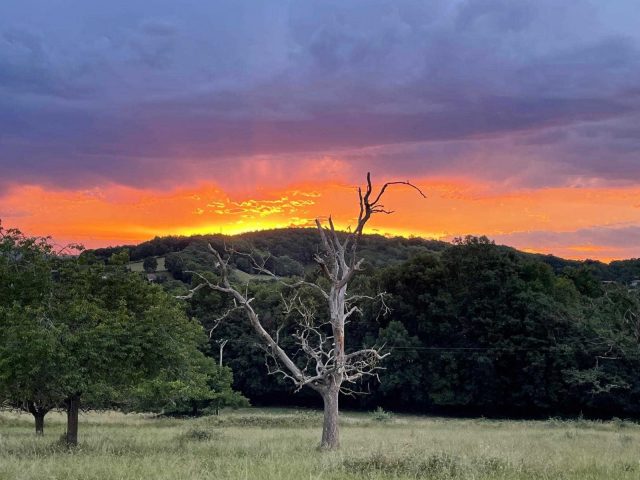 31G100773-19b73e003f294d1c8feea8e6ee640c8a