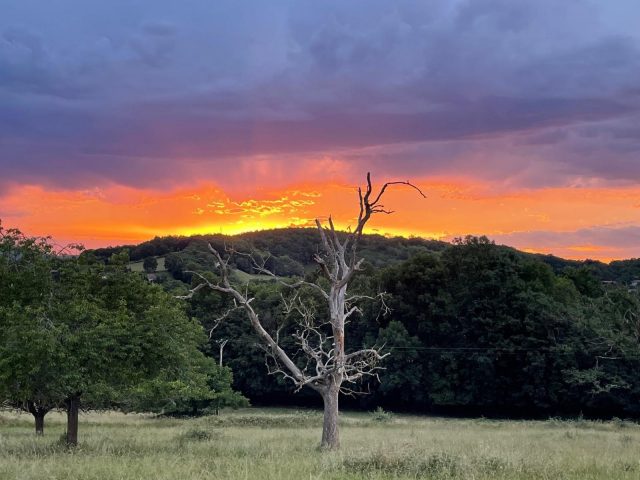 31G100773-333cf227ad9e4e41bd24b08cb1189747