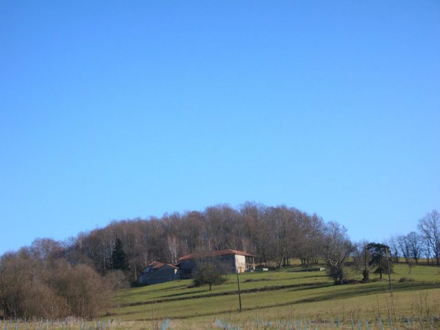 31G100773-3aca73d5c55c40bc89d910612bd94c4b