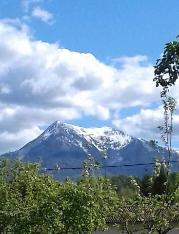 31G100895-ebe0f39985a9463d917e40c204de211c