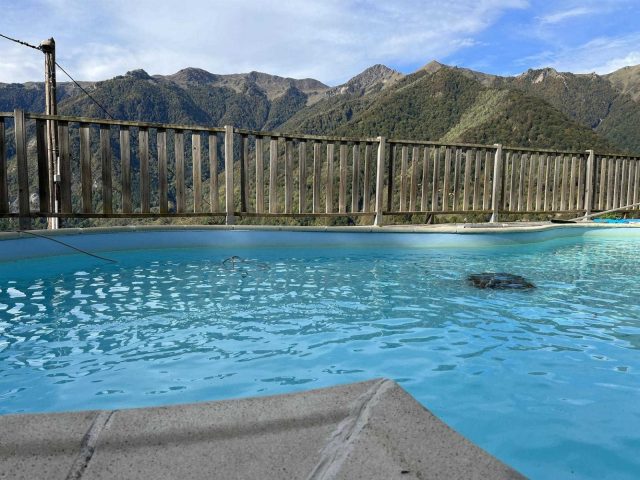 31G100906-7e27f0e636834240bbdaacecdb1cba77