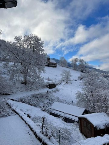 31G100906-bfd2520082a241d683744116b56722d2