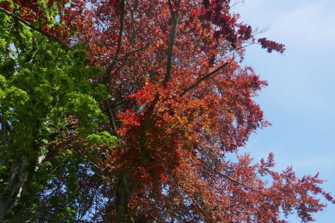 31G100934-1e7ddf94ef1d43d48b0952429fc269ac