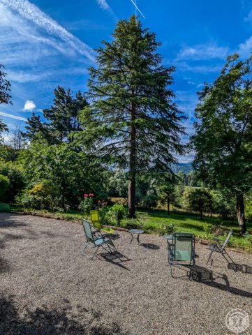 31G100934-2585c9ea0cc84677b2fca8c488db3786