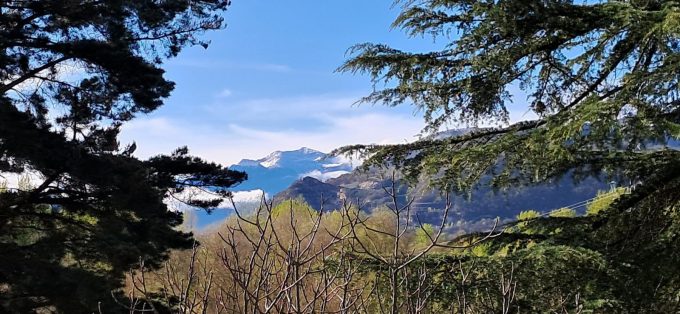 31G100934-97d9099103fd48fba2feb0d6e95406dd