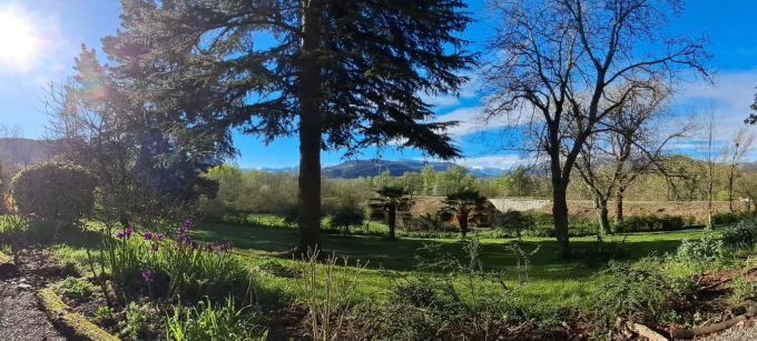 31G100934-a2beb6fb4e364f508b4b29400f35baaa