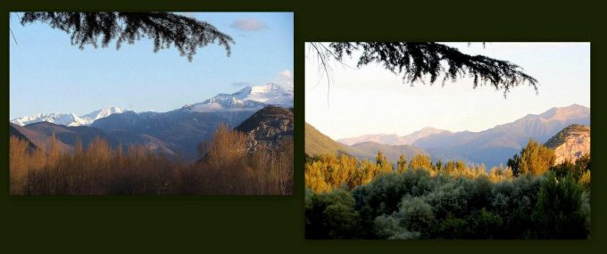 31G100934-d2fe379218fb48288d790a6ed706248d