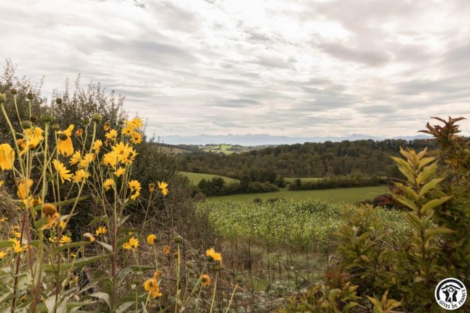 31G100978-2a93b49d63e8490ca4bc6229a8fbc6ed