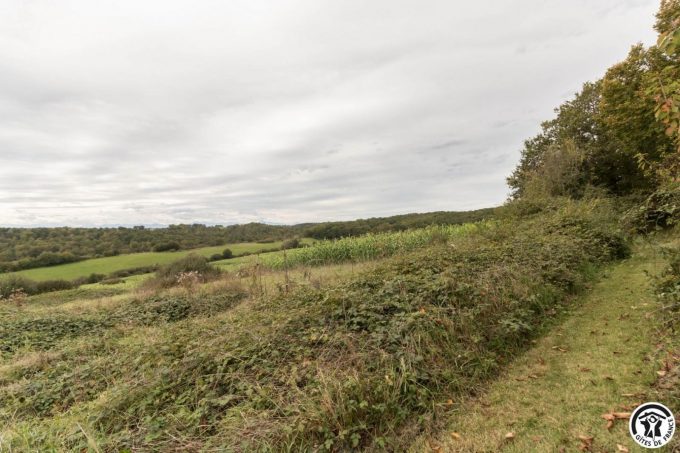 31G100978-8190854748ec4890becc51efe46b5c7b