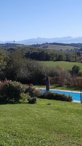 31G100978-a1b3936e30274907ada88355fd623f2e