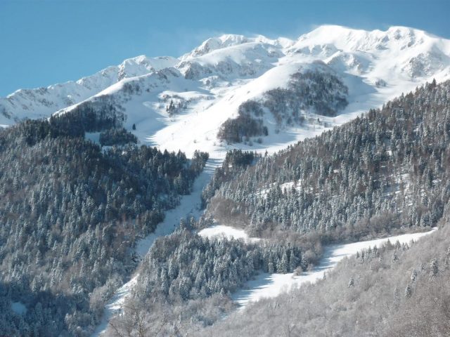 31G100982-06040229810741e8a1e004c49516a940