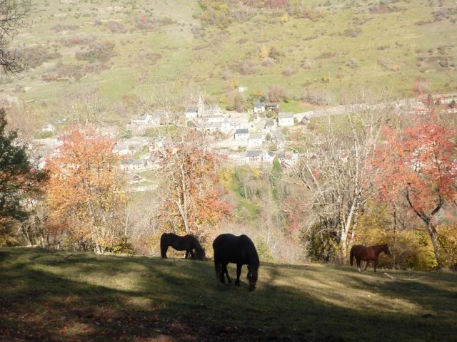 31G100982-0f4e24f741594e28a4eb4d3041bb1ed8