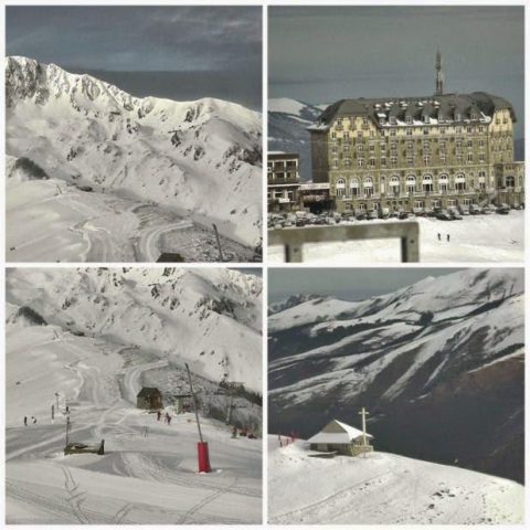 31G100982-17fb23453e044538bff79e8691bf650f