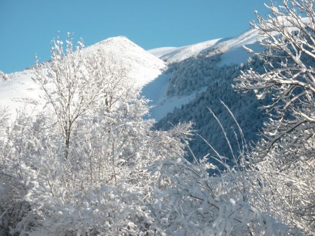 31G100982-44ed9da0676e41d8986b7d772be5be03