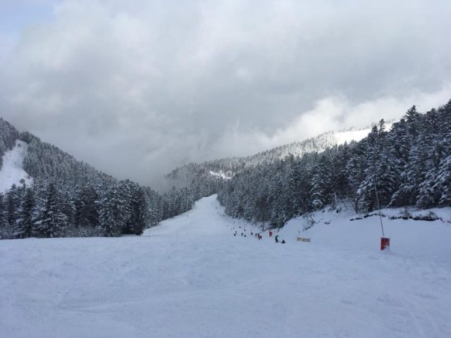 31G100982-6d8a33099519447fbdc7ef4daad67459