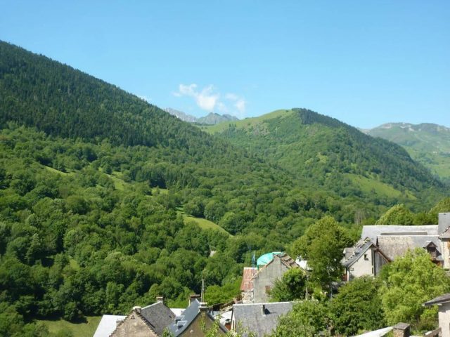 31G100982-7724f9c3bdc7410caf5881e6ad2be57f