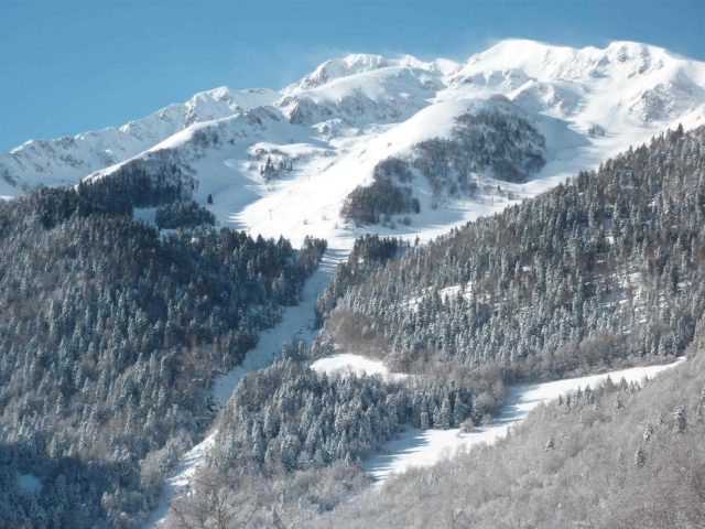 31G100982-d538379a73e649c1ba1ab850569444dc