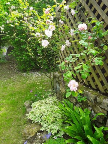 31G101003-952e42427ab94256a2651b55ccbaab78