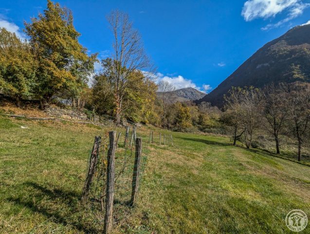 31G101017-33d12428467849ef9ac9cad2bee2b0df