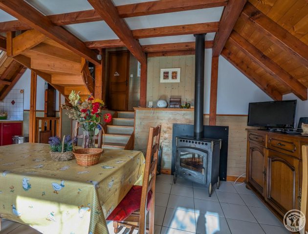 31G101017-5347e1c8f3da4e209ef51083ff2a8755