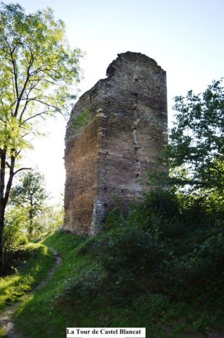 31G101043-5edfc19488f9432a92752e7b1ba29eb0