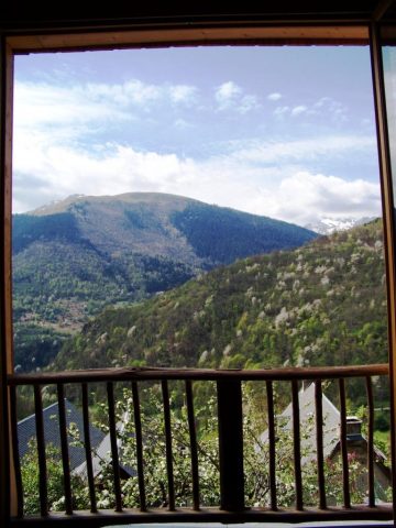 31G101043-6b5f4b9e7ac54260a8ee48ac0b154e4b