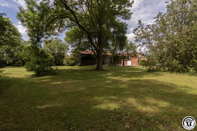 31G101045-35d939b286ec46a9a18245821da1ee7a