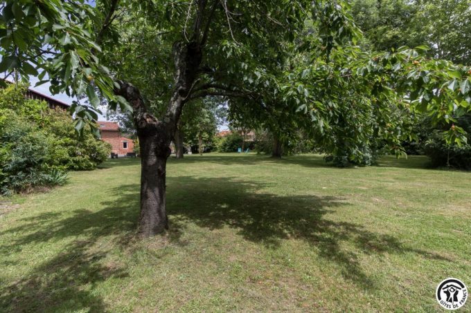 31G101045-3ce74775c26749e4947e651f55554e52