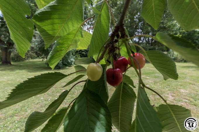 31G101045-7306edaf53824c33ac3689b1875efdef