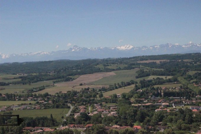 31G101045-78a061d48b724892aac4d39cbf9805bf