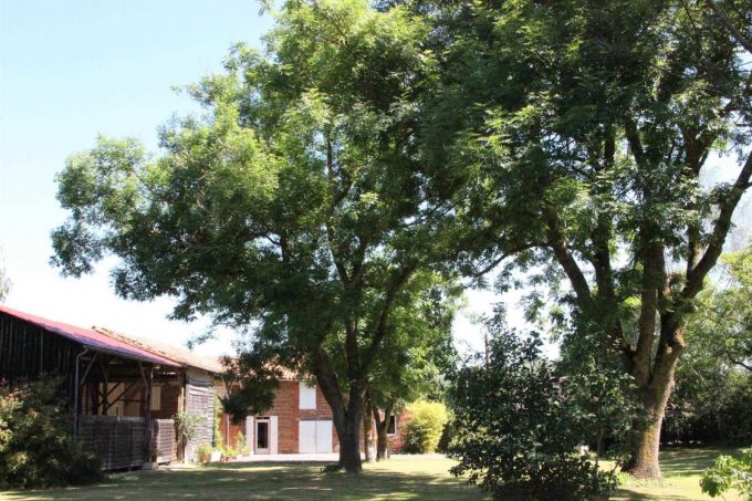 31G101045-8a0985232acf43769d9269de2d6102f6