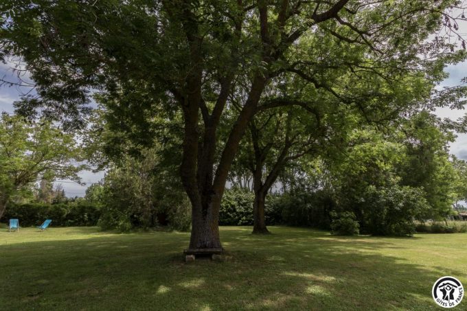 31G101045-8b50f14670b24b8fa2f0a4c4214cf008