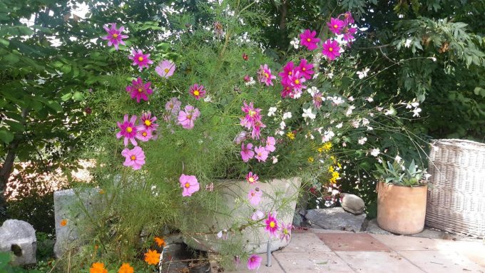 31G101054-05e0b6fa96404781bc1cafe546dec680