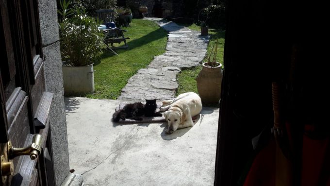 31G101054-1763365397994b41bf7554b0c65de922