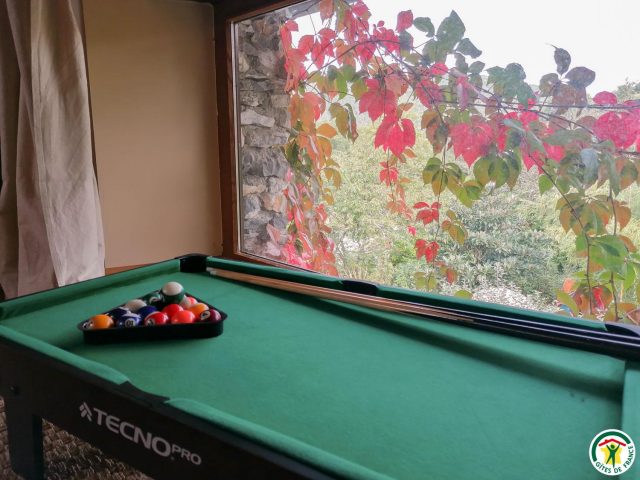 31G101054-38de84cd2a79412cb57327c66e082f9c