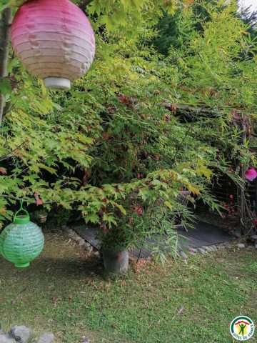 31G101054-4dec91cfedf047db84d41cdf9e0d7198