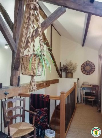 31G101054-70f16048177d478bab0e679af216810e