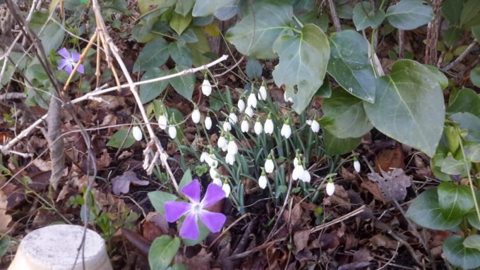 31G101054-b4c771b600c44e49b41b66b6773ab9e9