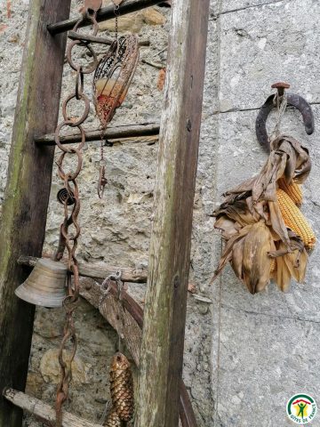 31G101054-f3241a47a71849eaaacd6bc199f65848