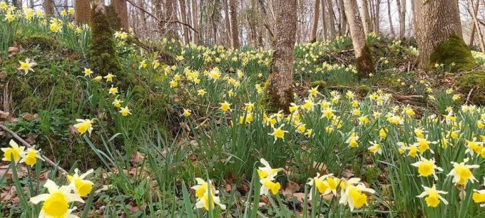 31G101056-2396cedd98ab4494aa22f5cbe6a4cec0