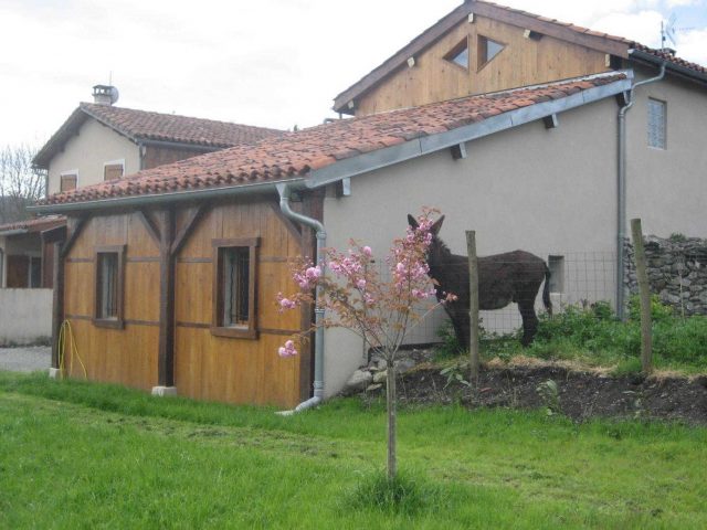 31G101056-3c2be99d6ed04f1ab8e4348649cd68f5