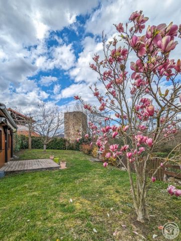 31G101056-51469573fea9436dab7082b62b1e9372